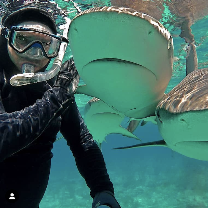 Shark Selfie