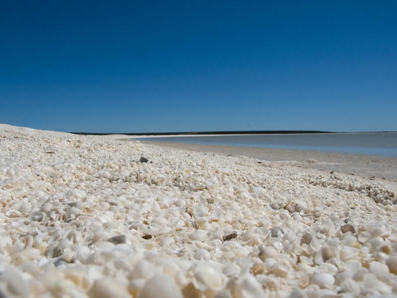 Shell Beach, Australia