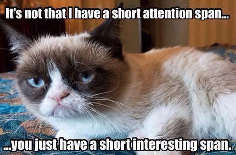 35 of the Funniest Grumpy Cat Memes Ever Created