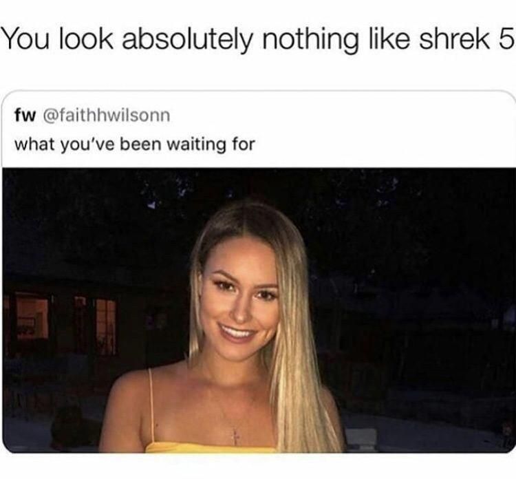 Shrek 5 joke