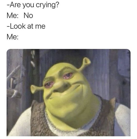 Shrek crying meme