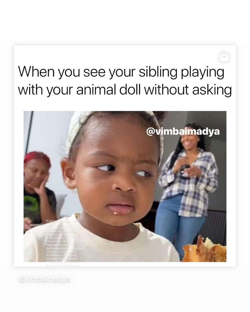 Siblings meme
