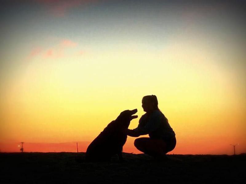 Silhouette of dog and owner at sunset