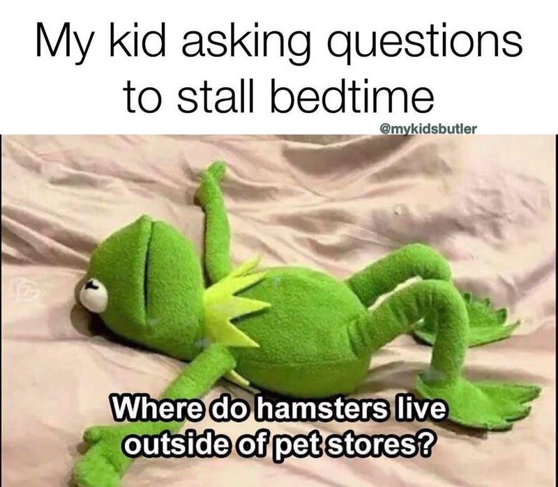 Silly questions