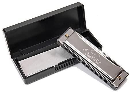 Silver harmonica