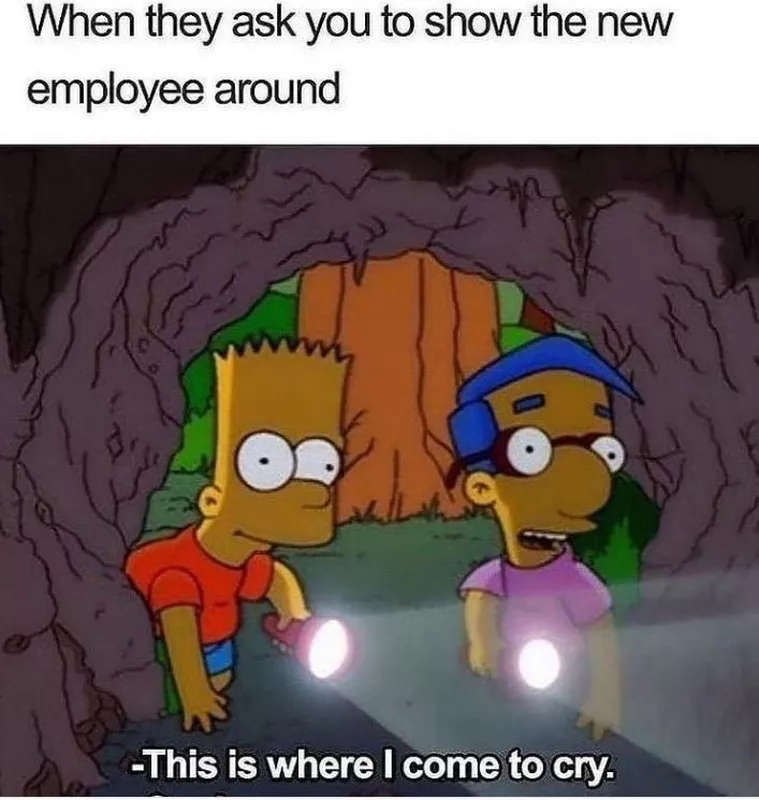 New employee meme