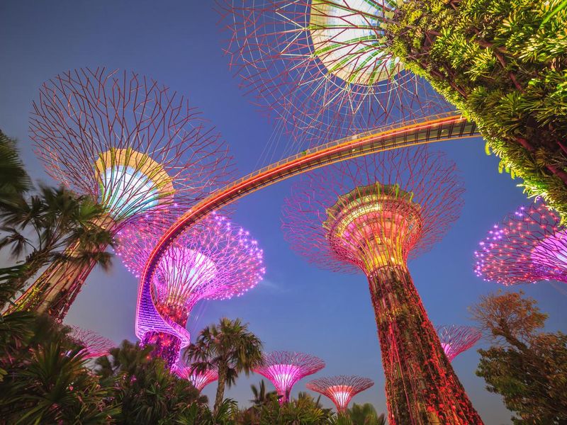 Singapore garden by the bay