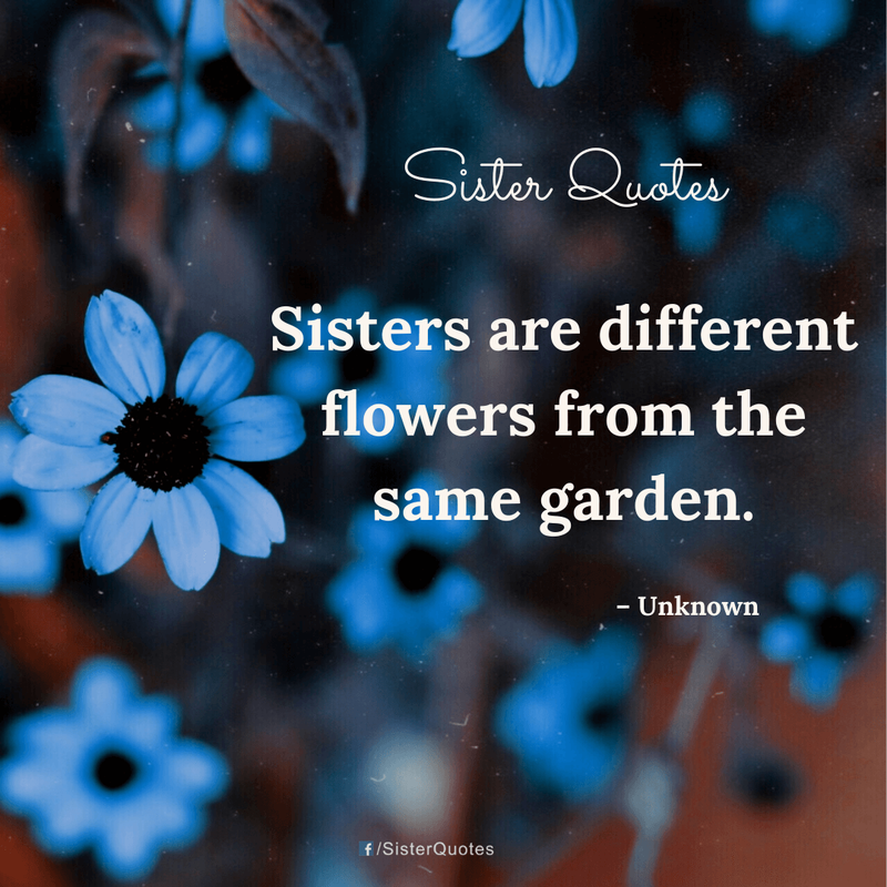 Sisters are different flowers from the same garden quote