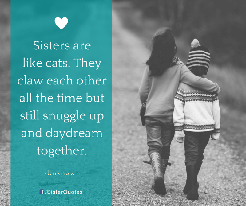 Sisters are like cats quote