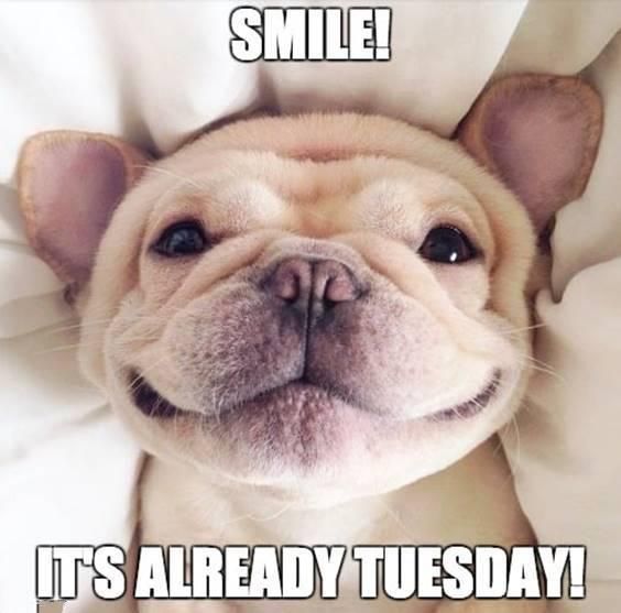 Smile! It's already Tuesday.