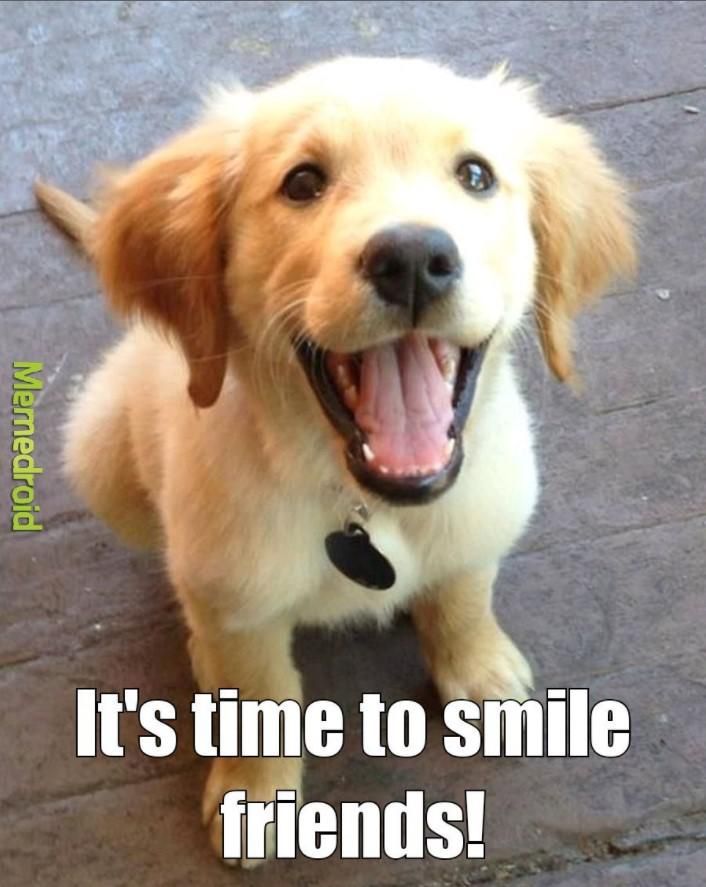 Smiling dog time