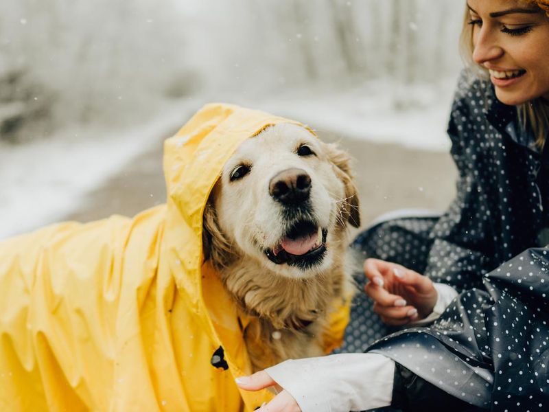 Smiling woman and her dog wearing a jacket on a winter walk