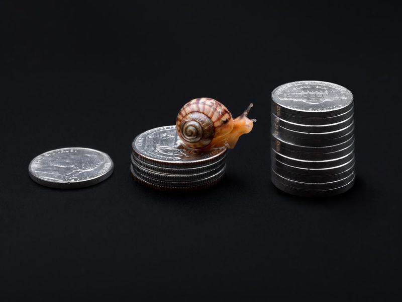 Snail on stack of coins on black background