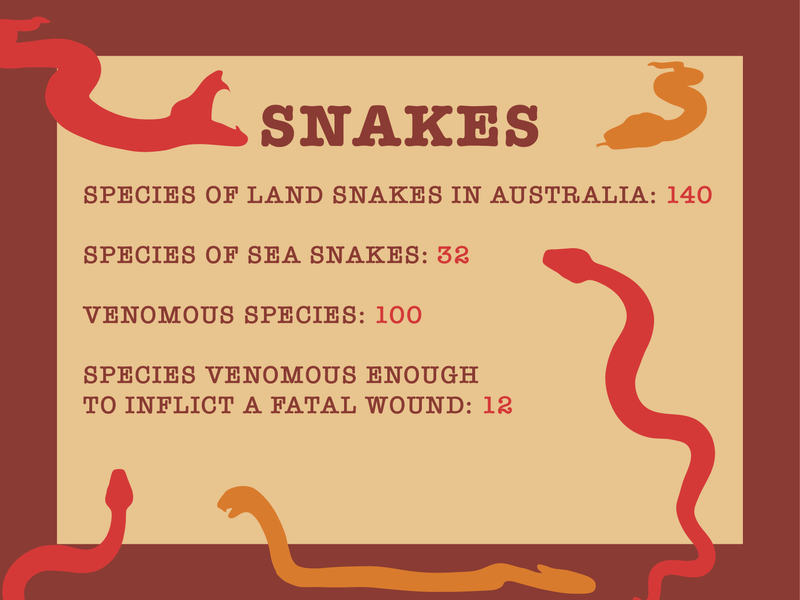 Snake facts