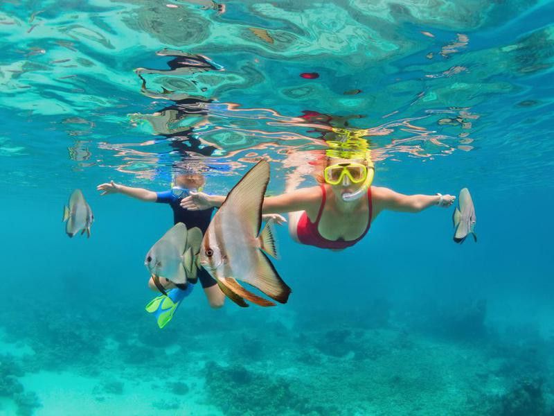 Snorkeling in Australia