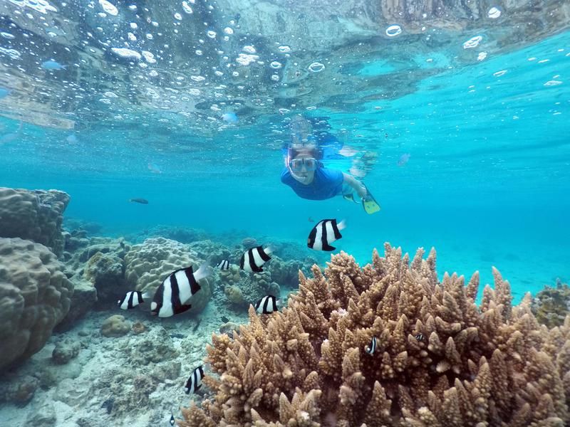 Snorkeling in Cook Islands