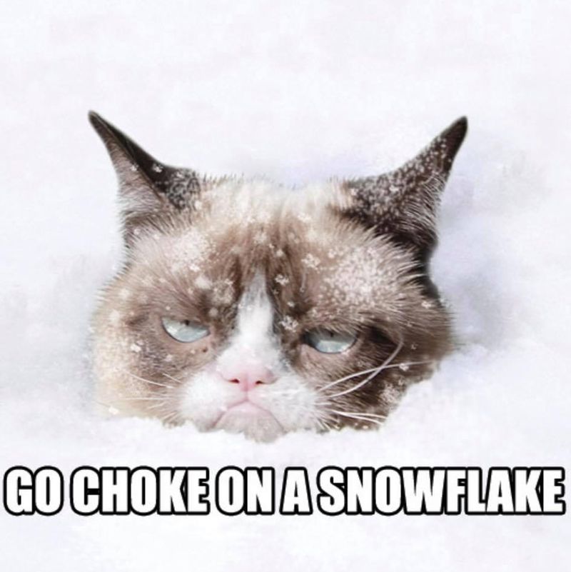 Snowflake cat meme