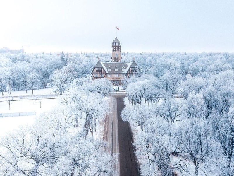 Snowy Winnipeg