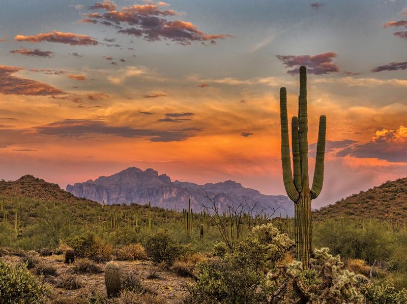 Sonoran Sunset, Arizona