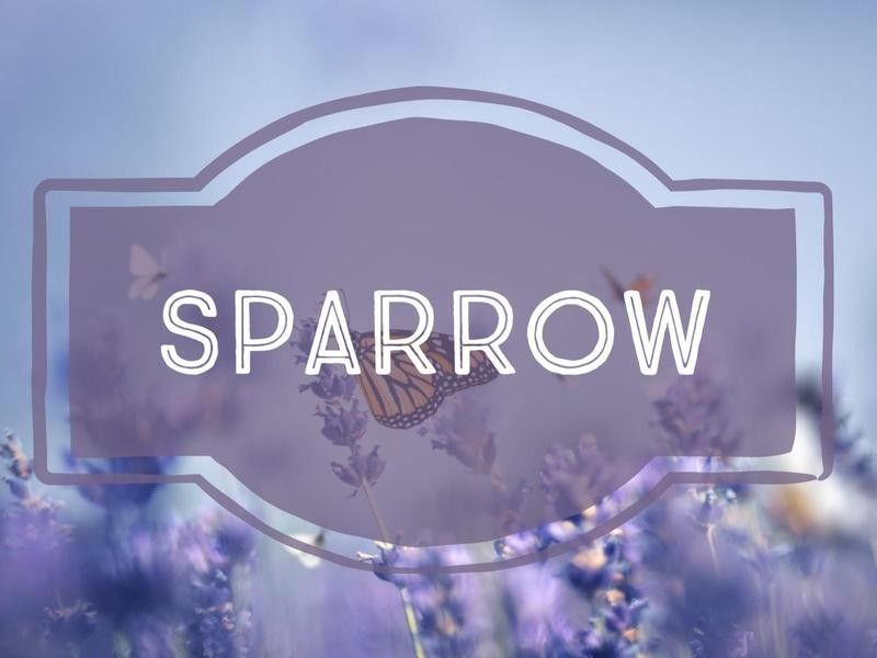 Sparrow nature-inspired baby name