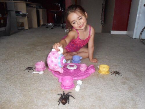 spider tea party