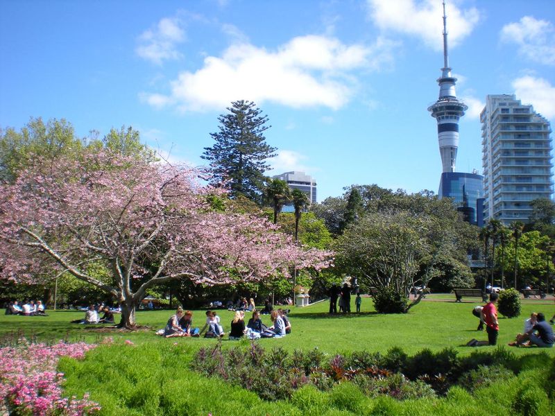 Spring in Albert Park in Auckland, New Zealand