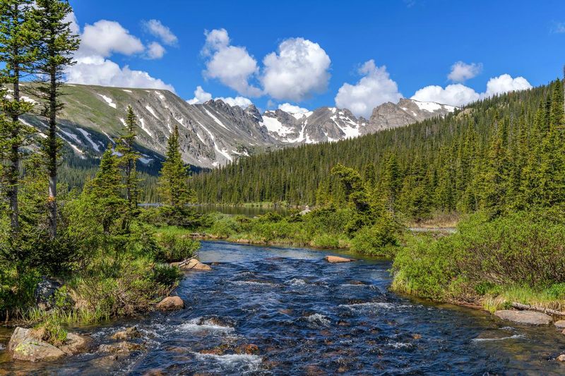 Spring Mountain Creek in Colorado