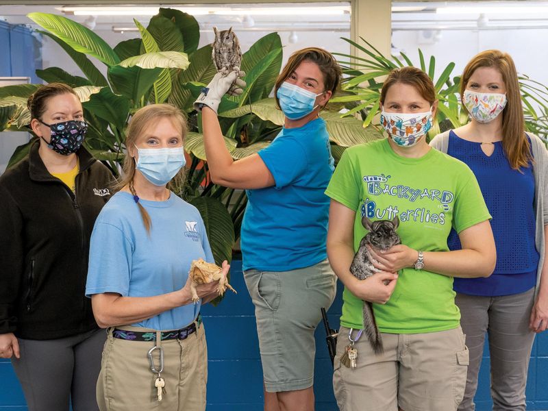 Staff at the Louisville Zoo holding animals