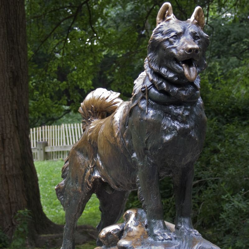 Statue of Balto the rescue dog in Central Park, New York