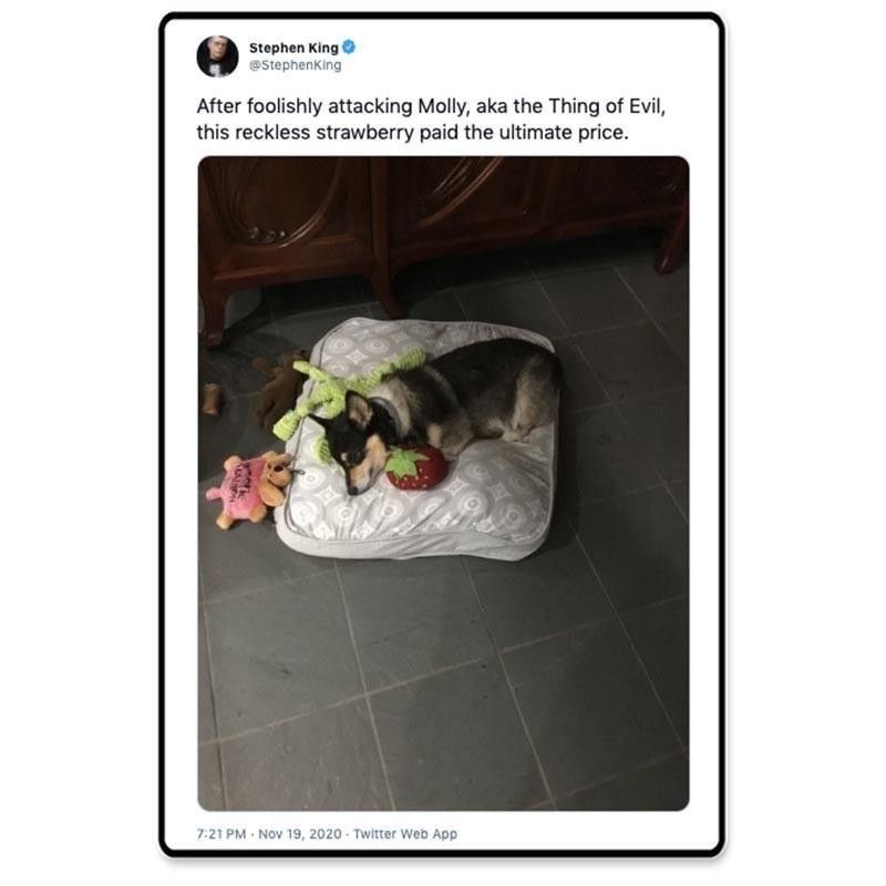 Stephen King's funny tweet about his dog