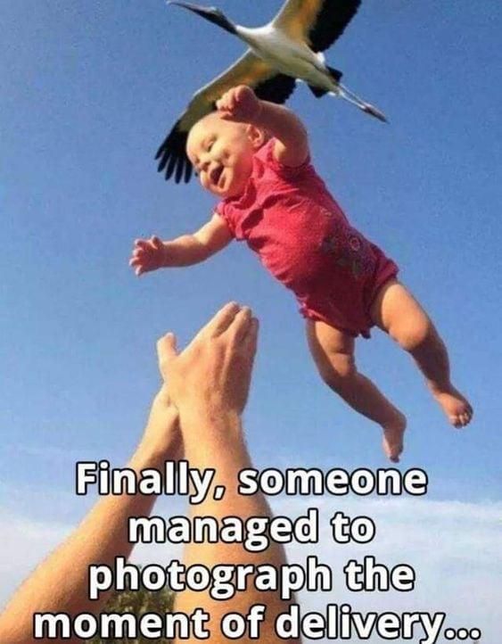 Stork delivering a baby (clean meme)