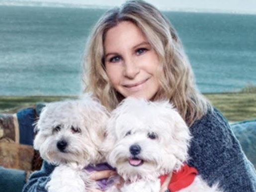 Streisand and Dogs