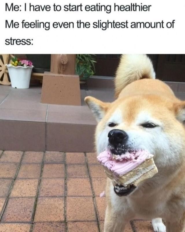 Stress-eating dog