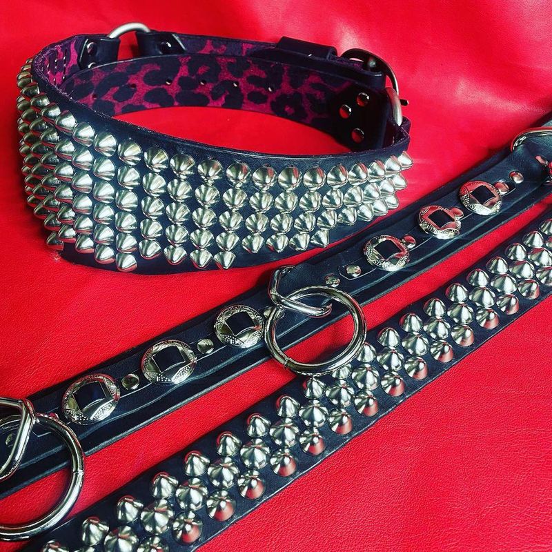 Studded belts
