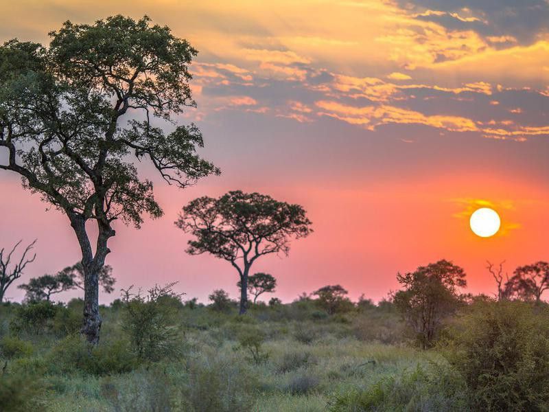 Sunset at Kruger National Park