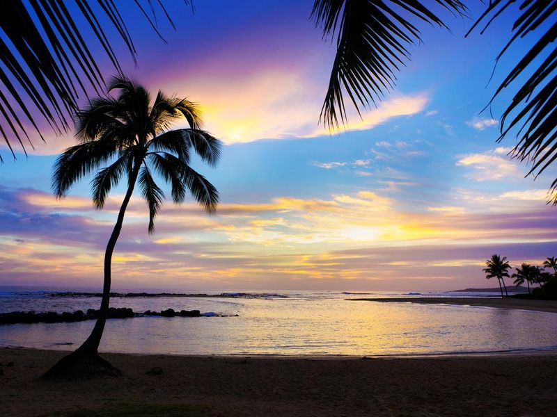 Sunset Sihouette Palm Tree on Poipu Beach of Kauai Hawaii