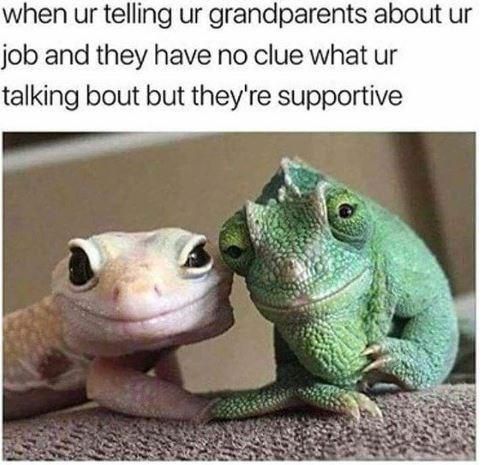 Supportive grandparent lizards