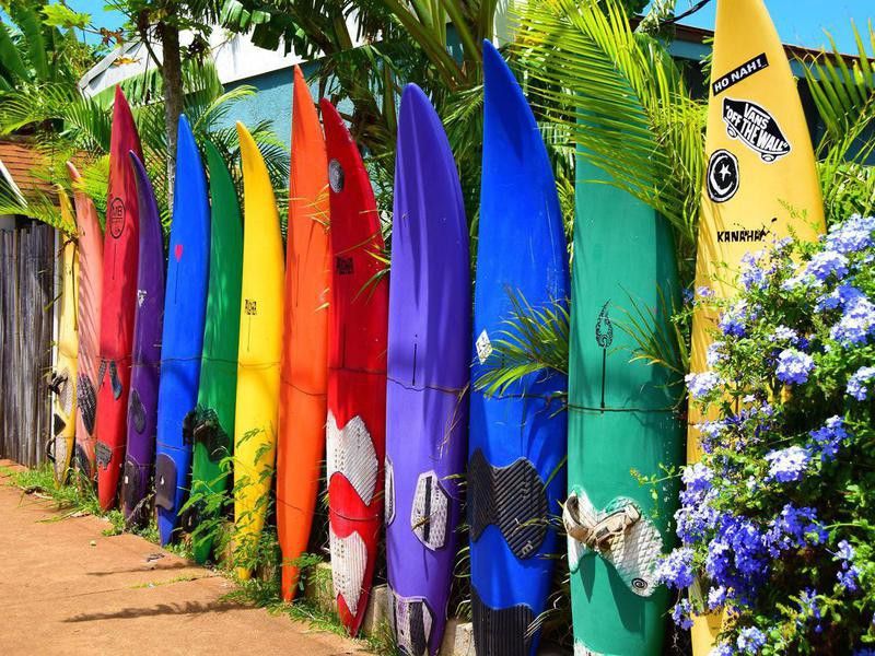 Surf boards in Maui, Hawaii