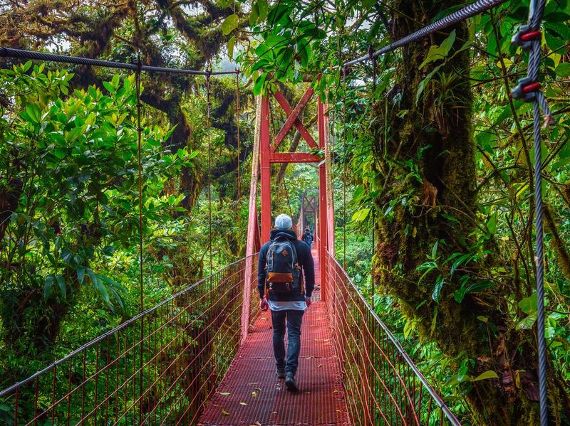 Suspension bridge in Monteverde Cloud Forest, Costa Rica