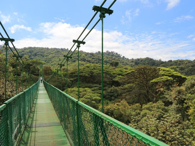 Suspension Bridge in Monteverde