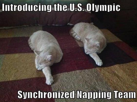 Synchronized napping team meme
