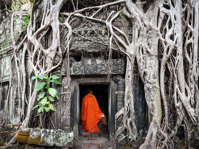 Ta Prom Khmer Angkor Wat