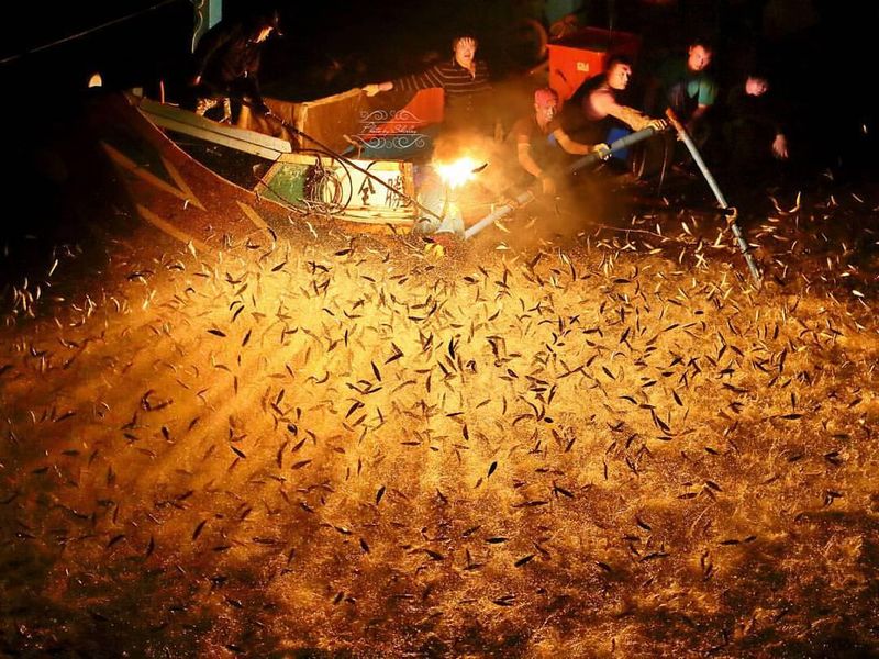 Taiwan Fire Fishing Festival
