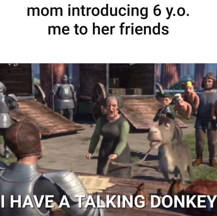 Talking Donkey