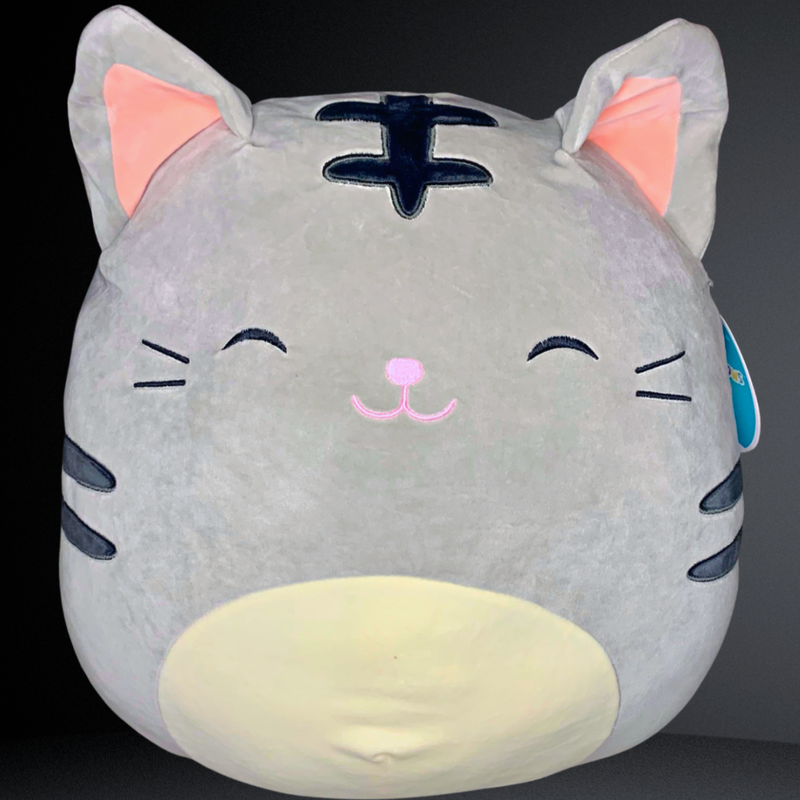Tally Squishmallow