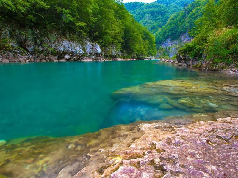Tara River Canyon, Durmitor National Park, Montenegro.