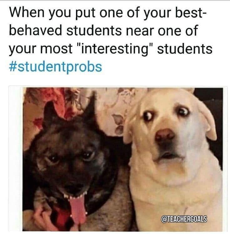 Teacher meme about pairing up opposite students