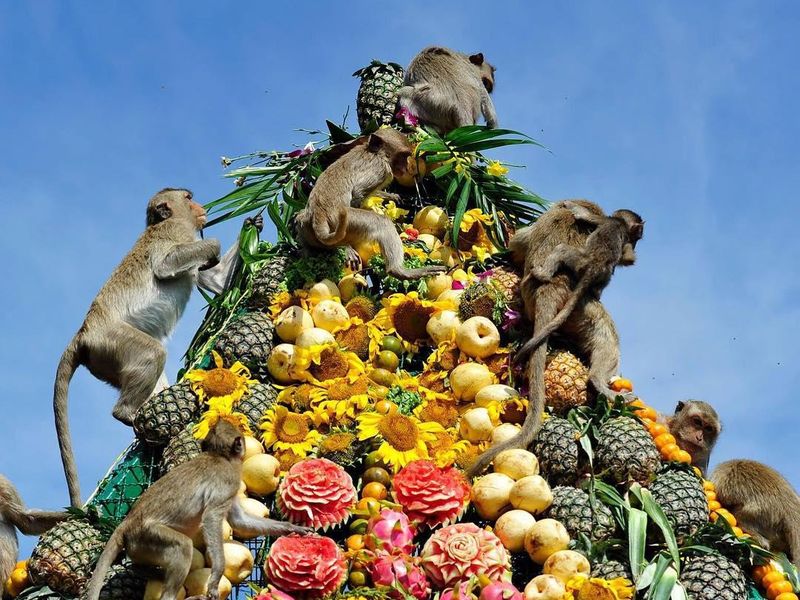 Thailand Monkey Buffet Festival