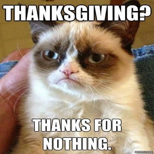 Thanksgiving cat meme