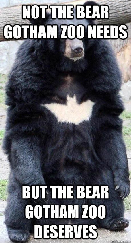 The bear Gotham Zoo needs